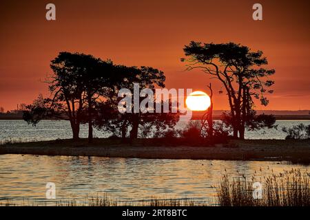 Bäume auf der Insel al Littel, während die Sonne aufgeht Stockfoto