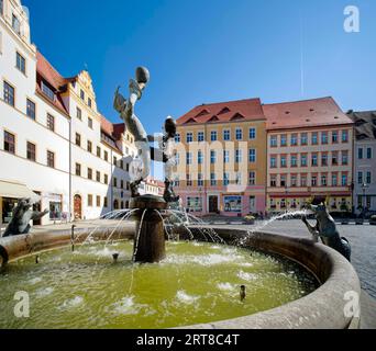 Marktbrunnen und Musiker der Künstlerin Erika Harbort, Marktplatz, Torgau, Sachsen, Deutschland Stockfoto