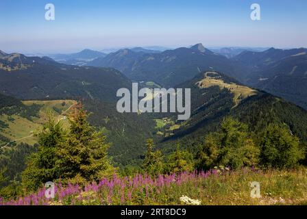 Panoramablick, Berglandschaft, Blick vom Regenspitz nach Hintersee und Feichtensteinalm, Osterhorngruppe, Salzkammergut, Salzburger Land Stockfoto