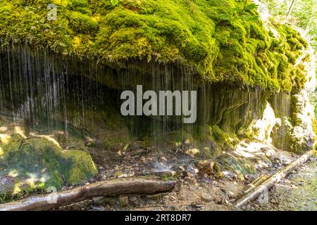 Wasserfall Dietfurter Schleierfall in der Wutachschlucht, Schwarzwald, Baden-Württemberg, Deutschland | Dietfurter Schleierfall Wasserfall an der Wut Stockfoto