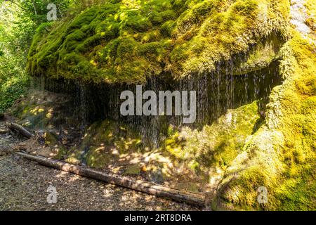 Wasserfall Dietfurter Schleierfall in der Wutachschlucht, Schwarzwald, Baden-Württemberg, Deutschland | Dietfurter Schleierfall Wasserfall an der Wut Stockfoto