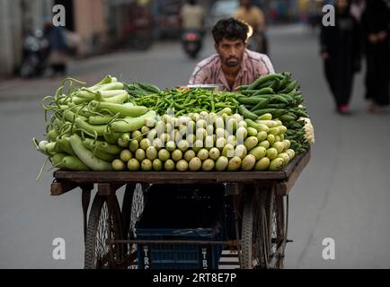 New Delhi, Indien. September 2023. Ein Händler schiebt am 11. September 2023 in Neu-Delhi, Indien, einen Wagen mit Gemüse. Quelle: Javed Dar/Xinhua/Alamy Live News Stockfoto