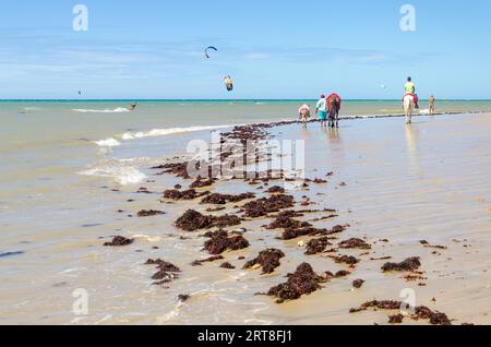 Cumbuco, Brasilien, May 9, 2017: Pferde reitet für Autovermietung in Cumbuco White Sand Beach in Brasilien Stockfoto