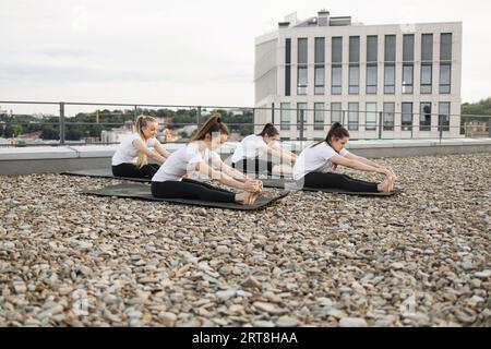 Yoga-Liebhaber, die sich auf Yogamatten im Freien auf dem Dach nach vorne klappen Stockfoto