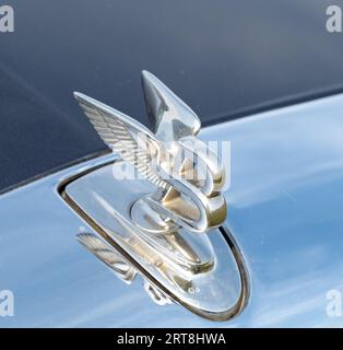 Wroxham, Norfolk, Großbritannien – 10. September 2023. Nahaufnahme und selektive Aufnahme eines luxuriösen Bentley Arnage Motorhaubenabzeichens Stockfoto