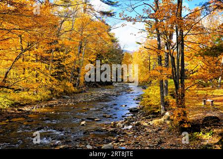 Schöne Herbstfarben entlang eines Flusses in der Nähe von Stowe, Vermont, USA Stockfoto