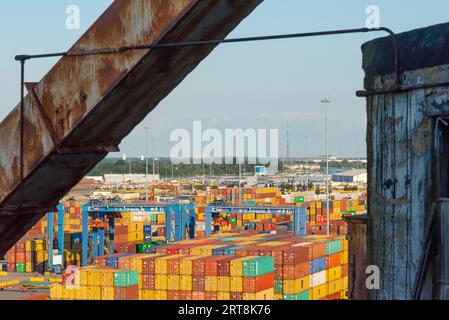 Container im Hafen von Baltimore, MD Stockfoto