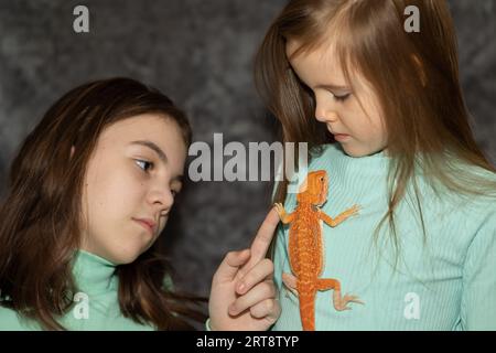 Porträt hübscher Mädchen mit rotem Agama-Leguan auf grauem Hintergrund. Zwei kleine Kinder, die mit Reptilien spielen. Selektiver Fokus. Hochwertiges Foto Stockfoto