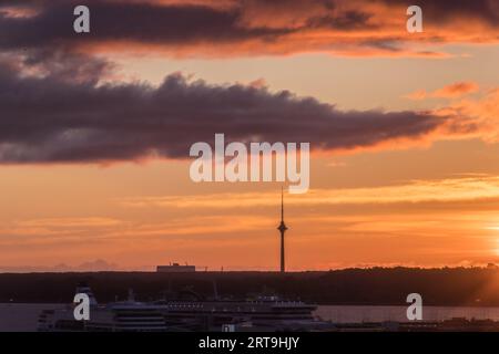 Point de Vue de Kohtuotsa depuis la ville Haute Toompea au Lever du soleil Stockfoto