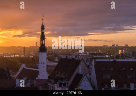 Point de Vue de Kohtuotsa depuis la ville Haute Toompea au Lever du soleil Stockfoto