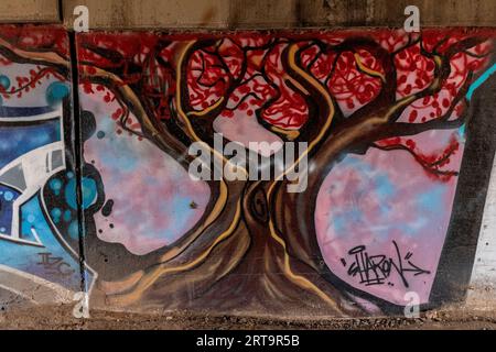 Graffiti in Albuquerque, New Mexico Stockfoto