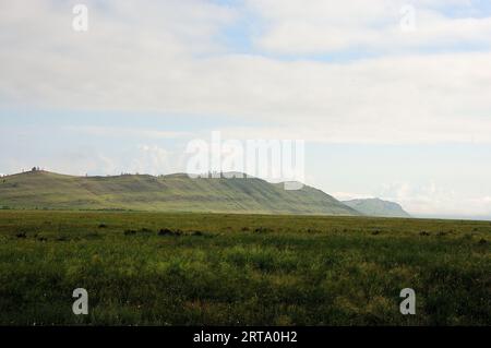 Eine Reihe von hohen Bergen mit felsigen Formationen am Rande einer riesigen Steppe mit hohem Gras. Khakassia, Sibirien, Russland. Stockfoto