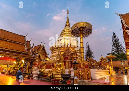 Goldene Chedi des buddhistischen Tempelkomplexes Wat Phra That Doi Suthep, Wahrzeichen von Chiang Mai in der Abenddämmerung, Thailand, Asien Stockfoto