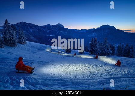 Person fährt im Scheinwerferlicht mit Schlitten von Farrenpoint, Farrenpoint, Bayerische Alpen, Oberbayern, Bayern, Deutschland Stockfoto