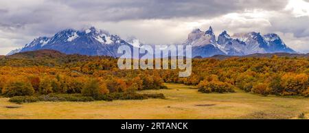 Atemberaubendes Panorama eines herbstlichen südlichen Buchenwaldes vor den wolkenbedeckten Bergen des Torres del Paine Massivs, Chile, Patagonien Stockfoto