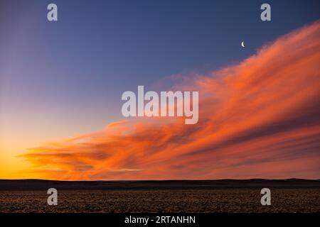 Spektakuläres Nachglühen mit Mond nach Sonnenuntergang über den Pampas Argentiniens, Patagoniens, Südamerikas Stockfoto