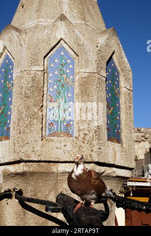 Griechenland, Rhodos Insel Rhodos Stadt, Altstadt, Sokratous Brunnen und Umgebung Stockfoto