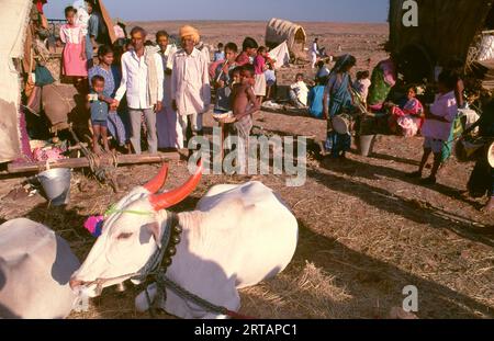 Indien: Ein Pilgerlager, Poornima Festival in der Nähe des Yellamma-Tempels, Saundatti, Karnataka (1994). Jedes Jahr versammeln sich im Hindumonat Magh (Januar bis Februar) mehr als eine halbe Million Menschen um den winzigen Tempel der Göttin Yellamma in Saundatti. Yellamma ist die Schutzpatronin der Devadasi oder der Frauen, die dem Dienst an einer Gottheit oder einem Tempel gewidmet sind. Stockfoto