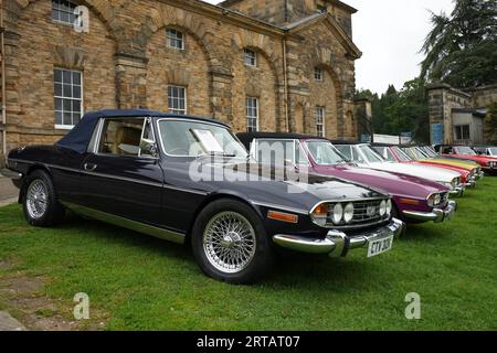 Eine Auswahl an klassischen Triumph Stag Motorwagen. Stockfoto