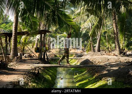 Samut Songkhram, Thailand; 1. Januar 2023: Ein junger Bauer, der auf einer Bio-Kokosnussplantage arbeitet. Stockfoto