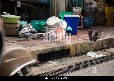 Bangkok, Thailand; 1. Januar 2023: Einige Tauben essen auf einer schmutzigen Straße in Bangkok. Stockfoto