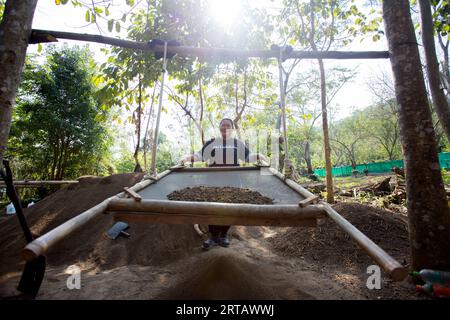 Chiang Mai, Thailand; 1. Januar 2023: Man filtriert Boden auf einer Bio-Grünteeplantage im Norden Thailands. Stockfoto