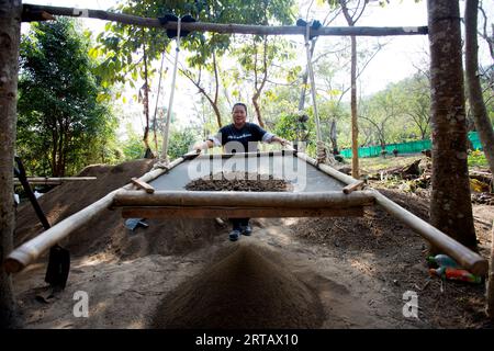 Chiang Mai, Thailand; 1. Januar 2023: Man filtriert Boden auf einer Bio-Grünteeplantage im Norden Thailands. Stockfoto