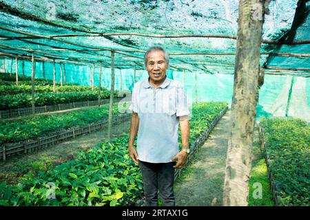 Chiang Mai, Thailand; 1. Januar 2023: Landwirt auf einer Bio-Grünteeplantage im Norden Thailands. Stockfoto