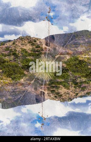 Doppelbelichtung einer Wüstenlandschaft in New Mexico. Stockfoto