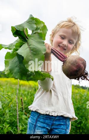 Ein Kind hält frisch gepflückte Rüben. Gemüse aus einem ökologischen Bett auf einem Öko-Bauernhof in der Nähe des Hauses Stockfoto