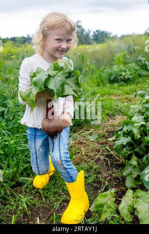 Kind in gelben Gummistiefeln, das stolz ihre Rote-Bete-Ernte zeigt Stockfoto