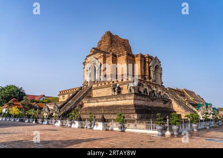 Die große Stupa von Wat Chedi Luang, Chiang Mai, Thailand, Asien Stockfoto