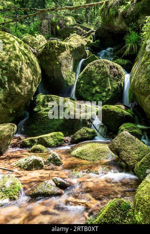 Gertelbacher Wasserfälle, Bühlertal, Schwarzwald, Baden-Württemberg, Deutschland Stockfoto