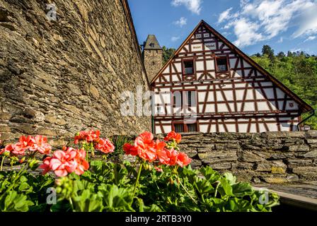 Im Malerwinkel von Bacharach, Oberes Mittelrheintal, Rheinland-Pfalz, Deutschland Stockfoto