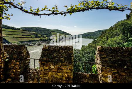 Blick vom Burgundergarten auf den Rhein bei Assmannshausen, Schloss Rheinstein, Oberes Mittelrheintal, Rheinland-Pfalz, Deutschland Stockfoto