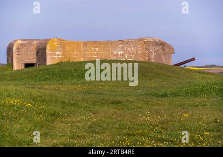 Die Longues-sur-Mer-Batterie, Artillerie des Zweiten Weltkriegs in Frankreich Stockfoto