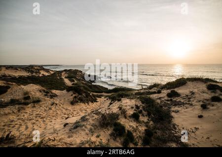 Algarve, Portugal, Februar 2019 Stockfoto