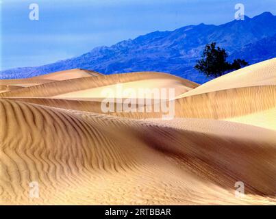 Die Blue Hour in den Mesquite Sand Dunes im Death Valley National Park in Kalifornien, USA Stockfoto