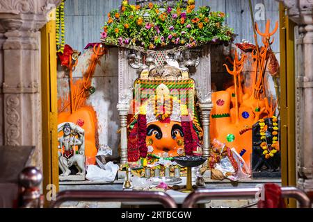 die Statue der hindu-Göttin Shri Chamunda Mata am alten Tempel aus einem anderen Blickwinkel wurde im Shaktipeeth Shri Chamunda Mata Tempel ajmer rajasthan aufgenommen Stockfoto