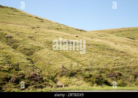 Pont AR DAF Bannau Brycheiniog Brecon Beacons Stockfoto