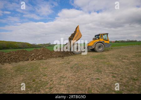 Muldenkipper stapelt Boden, Schaffung neuer Biotope für Amphibien, Deutschland, Schleswig-Holstein Stockfoto