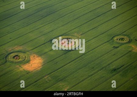 Kessellöcher in Feldlandschaft, Luftaufnahme, Deutschland, Mecklenburg-Vorpommern Stockfoto