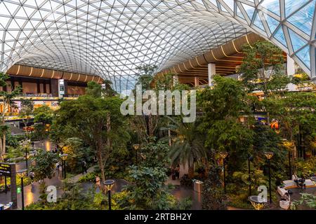 The Orchard, der tropische Indoor-Garten des Flughafens Doha am internationalen Flughafen Doha Hamad, Katar Stockfoto