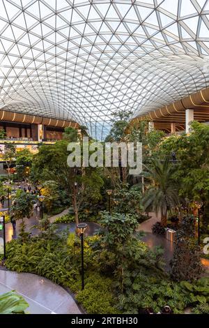 The Orchard, der tropische Indoor-Garten des Flughafens Doha am internationalen Flughafen Doha Hamad, Katar Stockfoto