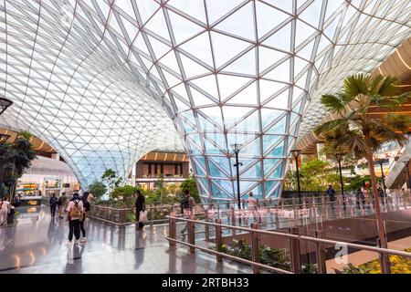 The Orchard, der tropische Indoor-Garten des Flughafens Doha am internationalen Flughafen Doha Hamad, Katar Stockfoto