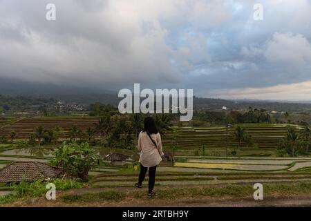 Ein indonesisches Mädchen, das die atemberaubende Landschaft der UNESCO-Reisterrassen in Jatiluwih, Bali, Indonesien, genießt. Stockfoto