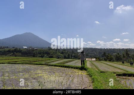 Ein indonesisches Mädchen, das die atemberaubende Landschaft der UNESCO-Reisterrassen in Jatiluwih, Bali, Indonesien, genießt. Stockfoto