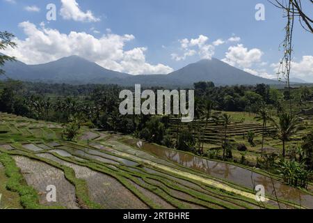 Atemberaubende Landschaften der UNESCO-Reisterrassen in Jatiluwih, Bali, Indonesien Stockfoto