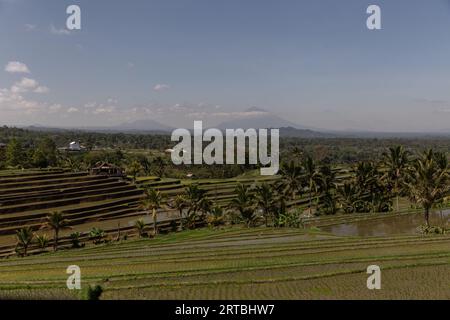 Atemberaubende Landschaften der UNESCO-Reisterrassen in Jatiluwih, Bali, Indonesien Stockfoto