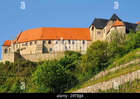 Schloss Neuenburg bei Freyburg an der Unstrut, Burgenlandkreis, Sachsen-Anhalt, Deutschland Stockfoto